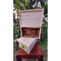 ราคา #ลังชันโรงเบิร์นไฟ ลังผึ้งจิ๋ว กล่องชันโรง กล่องผึ้งจิ๋ว ไม้สนนอก #รังชันโลง (18690312924)