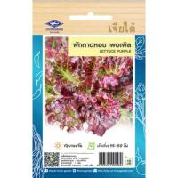 ราคา เมล็ดผักกาดหอม เพอเพิลรายเจียไต๋ (21172037516)