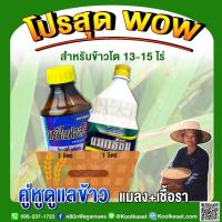 ราคา คู่หูดูแลข้าว แมลง เชื้อรา ข้าวโต 13-15ไร่ หนอนเพลี้ย แมลงบั่ว แมลงสิง โรคใบไหม้ ใบจุด คูลเกษตร KK301 (19051946138)