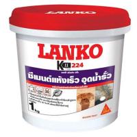 ราคา ซีเมนต์อุดน้ำรั่ว แห้งเร็ว LANKO 224 RAPID PLUG 1KG (6452482008)