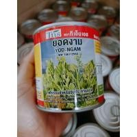 ราคา ยอดงาม ขนาด 40 กรัม ฟักทอง สำหรับรับประทานยอดอ่อน (19681026215)