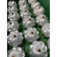 ราคา เหรียญโปรยทานดอกมะลิ20ชิ้น (22515788041)