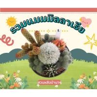 ราคา Mammillaria (แมมมิลลาเรีย) แคคตัส กระบองเพชร (MA00) สวนถาด (25661222563)