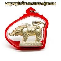 ราคา พญาหมูป่าเขี้ยวเพชร เนื้อเงิน หลวงปู่กาหลง วัดเขาแหลม สุดยอดเครื่องรางที่ใช้ในด้านคงกระพันชาตรี ป้องกันภัย จากอันตรายทั้ (17611013516)
