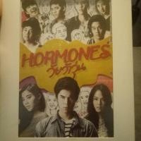 ราคา DVD ฮอร์โมน วัยว้าวุ่น Hormones series1 (1304199953)
