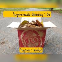 ราคา ใบหูกวางแห้ง1ลังเบียร์ 50฿หน้าฝนหายาก (12335506116)