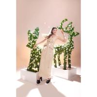 ราคา ชุด dressยาว asava (942030601)