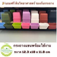 ราคา กระถางแขวนสวนแนวตั้ง ใบใหญ่ (3240299463)