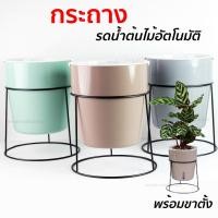 ราคา กระถางปลูกต้นไม้พลาสติก พร้อมขาตั้ง (สีพลาสเทล) รดน้ําต้นไม้อัตโนมัติ พลาสติกหนา เหมาะ สำหรับปลูกต้นไม้ ฟอกอากาศ ในบ้าน (10532525968)