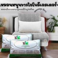ราคา หมอนหนุนขาวใยโพลีเอสเตอร์ หมอนหนุนสีขาว ขนาด 62*15 ซม (24131696306)