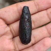 ราคา ตะกรุดหนังเสือพอกครั่ง หลวงพ่อทองศุข วัดโตนดหลวง จ.เพชรบุรี (19391493289)