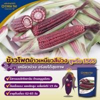 ราคา เมล็ดพันธุ์ข้าวโพดข้าวเหนียวสีม่วง ซูพรีม เจียไต๋ 500g (17558779499)