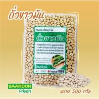 ราคา ถั่วขาวมัน ขนาด 500g ธัญพืชเพื่อสุขภาพ (18184737044)