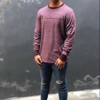 ราคา แขนยาวโลโก้สคริปต์ Champions Heather ของแท้ 100% และปิคจริงใหม่ (21581964878)