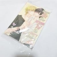 ราคา การ์ตูนวาย มังงะyaoi แผนรักจีบหวานใจ (1474219914)