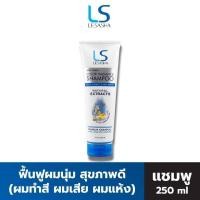ราคา LESASHA แชมพู ยาสระผม 250 ml (ผมทำสี ผมเสีย ผมแห้ง) สูตร HEAT SHIELD COLOR RADIANCE SHAMPOO ผมนุ่ม ผมสุขภาพดี (13389967127)