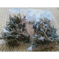 ราคา เขียดตากแห้ง 100กรัม (11606386104)