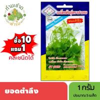 ราคา 3A (ซื้อ10แถม1) เมล็ดพันธุ์ ตำลึง ขนาด 1 กรัม ประมาณ 5 เมล็ด IVY GOURD ยอดตำลึง ตำลึง เมล็ดพันธุ์พืช เมล็ดผัก ปลูกผักสวน (3643309459)