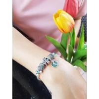 ราคา สร้อยข้อมือ PANDORA+CHARMS ของแท้10000%( (24554769829)