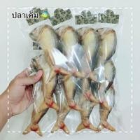 ราคา ตุ๊กตาปลาทูแคทนิป 12 ตัว (4708015274)