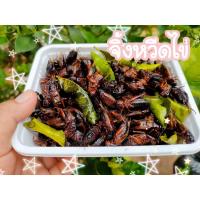 ราคา แมลงทอด จิ้งหรีดไข่ทอด ด้วงสาคูทอด (6791137391)