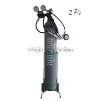 ราคา ชุดเติมลมไนโตรเจน Nitrogen N2 ขนาด 2 คิว (6962428312)