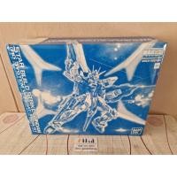 ราคา MG 1/100 Star Build Strike Gundam (RG System Ver.) (13205648721)