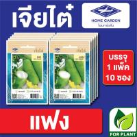ราคา เมล็ดพันธุ์ ผักซอง แฟง ตราเจียไต๋ CT15 บรรจุแพ็คล่ะ 10 ซอง ราคา 75 บาท (20758417317)