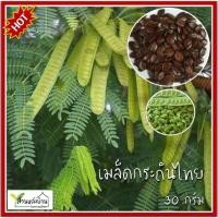 ราคา 30 กรัม กระถินไทย เมล็ดกระถินไทย กระถิน เมล็ดกระถิน กระถินบ้าน เมล็ดกระถินบ้าน กระถินพื้นเมือง (28205381122)