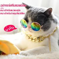 ราคา สร้อยคอโซ่ สร้อยคอแมว สร้อยคอหมา สร้อยคอสัตว์เลี้ยง เครื่องประดับสุนัข มีห่วงล็อค ปลอกคอหมา เพิ่มความเท่ห์ สร้อยคอทอง (16227303205)