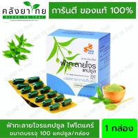 ราคา Phyto Care ฟ้าทะลายโจรแคปซูล 350 mg. ไฟโตแคร์ GPO ฟ้าทะลายโจรองค์การเภสัชกรรม100 แคปซูล/กล่อง (22844608229)