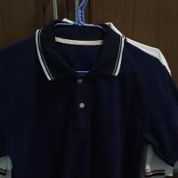 ราคา เสื้อคอปก โปโล เอวลอย (1249071832)