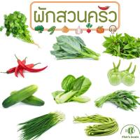 ราคา เมล็ดพันธุ์ผักสวนครัว แบ่งขาย เมล็ดกระเพรา โหระพา ผักชี พริก คะน้า กวางตุ้ง ผักบุ้ง แตงกวา ถั่วพู มะเขือเปราะ หอมแบ่ง (25075768253)