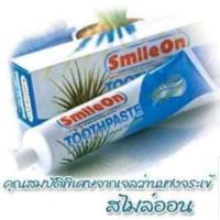 ราคา ยาสีฟัน ดูแลช่องปาก ยาสีฟันสไมล์ออน สกัดจากว่านหางจระเข้ ยาสีฟันซูเลียน Smile On ปริมาณ 250g. (10842190000)