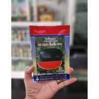 ราคา แตงโม#บิ๊กเบิ้ม210 ขนาด 40 กรัม (24275737153)