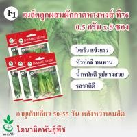 ราคา เมล็ดผักกาดหางหงส์ ลูกผสม F1 ที76 ตราใบไม้ 0.5 กรัมต่อซอง 5 ซอง จาก ไดนามิคพันธุ์พืช (5630480607)