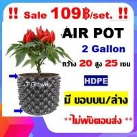 ราคา กระถาง air pot สีดำ 2 Gallon กระถางแอร์พอต ปลูก420 (air pot) size 20*25 cm (Black) กระถางต้นไม้ กระถางพลาสติก (7112928635)