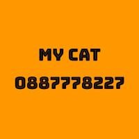 ราคา ขายsim my cat เบอร์สวย (3557584135)