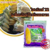 ราคา ไฮบริกซ์ 72 เมล็ดพันธุ์ข้าวโพดหวาน 1 กก. ตราแปซิฟิค ฝักใหญ่ หวานนุ่ม เมล็ดกว้างอวบแน่น รากและลำต้นแข็งแรง (18247615023)