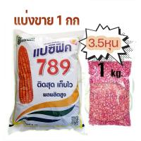 ราคา เมล็ดพันธุ์ ข้าวโพดเลี้ยงสัตว์ 789แปซิฟิค 3.5 หุน แบ่งขาย 1 กก (20983998732)