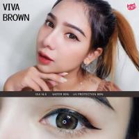 ราคา คอนแทคเลนส์ Kitty kawaii รุ่น Viva Brown (5336693597)
