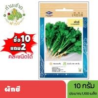ราคา เจียไต๋ (ซื้อ10แถม2) เมล็ดพันธุ์ ผักชี ขนาด10กรัม ประมาณ1,110เมล็ด Coriander หอมป้อม เมล็ดพันธุ์พืช เมล็ดผัก ปลูกผักสวนค (7617913355)
