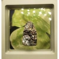 ราคา แร่เหล็กไหล7สีเขาอึมครึม(เทอไกต์Turgite) (22674801944)