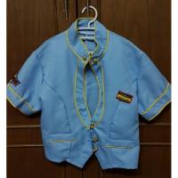 ราคา ชุดแฟนซีแอร์โฮสเตสสีฟ้า (5812073774)