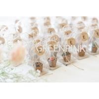 ราคา ของชำร่วย ต้นกระบองเพชร ต้นไม้จริง​ ของฝาก งานแต่ง ต้นไม้มงคล ของชำร่วยงานแต่ง ของขวัญ ยิมโน แคคตัส ปีใหม่ (21380274518)