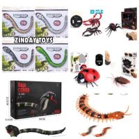 ราคา งูบังคับ ตะขาบบังคับ แมงมุมบังคับ ด้วงบังคับ แมงป่องบังคับ แมลงสาบบังคับ เต่าทองบังคับ (1912587132)