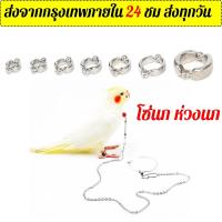 ราคา โซ่นกแก้ว โซ่ล่ามนก โซ่คล้องขานก ใช้กับห่วงนก ห่วงเปิดนก อุปกรณ์เลี้ยงนก ฟอพัส หงษ์หยก เลิฟเบิร์ด ค๊อกคาเทล กรีนชีค (29908353444)