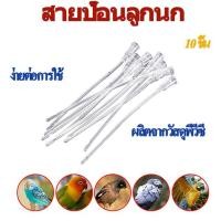 ราคา สายป้อนลูกนก สายป้อนอาหารนก สลิงป้อนลูกนก หัวโปร่งใส สายต่อสลิงค์ 10 ชิ้น วัสดุ PVC (20640065073)