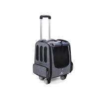 ราคา กระเป๋าใส่สัตว์เลี้ยง Dodopet สะพายได้ เข็นได้ รับน้ำหนักได้ถึง 10 กิโลกรัม (19600470891)