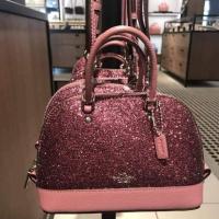 ราคา Coach แท้ 100% กระเป๋าสะพายทรงโดมจิ๋ว กลิตเตอร์ (2005071056)